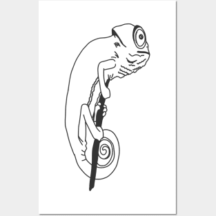 Chameleon sketch Posters and Art